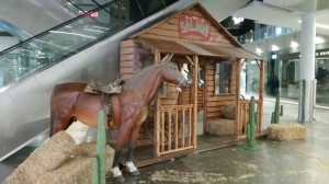 IMG-20160322-WA0046