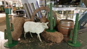 IMG-20160322-WA0047