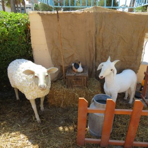 IMG 0032