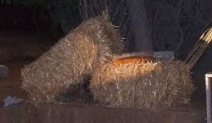 קוביות חציר