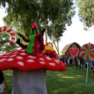 IMG 0231