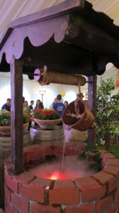 IMG 0049